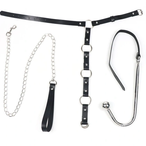 5853 Anal with Leash EverydayUse Kinky and Collar Hook 0820